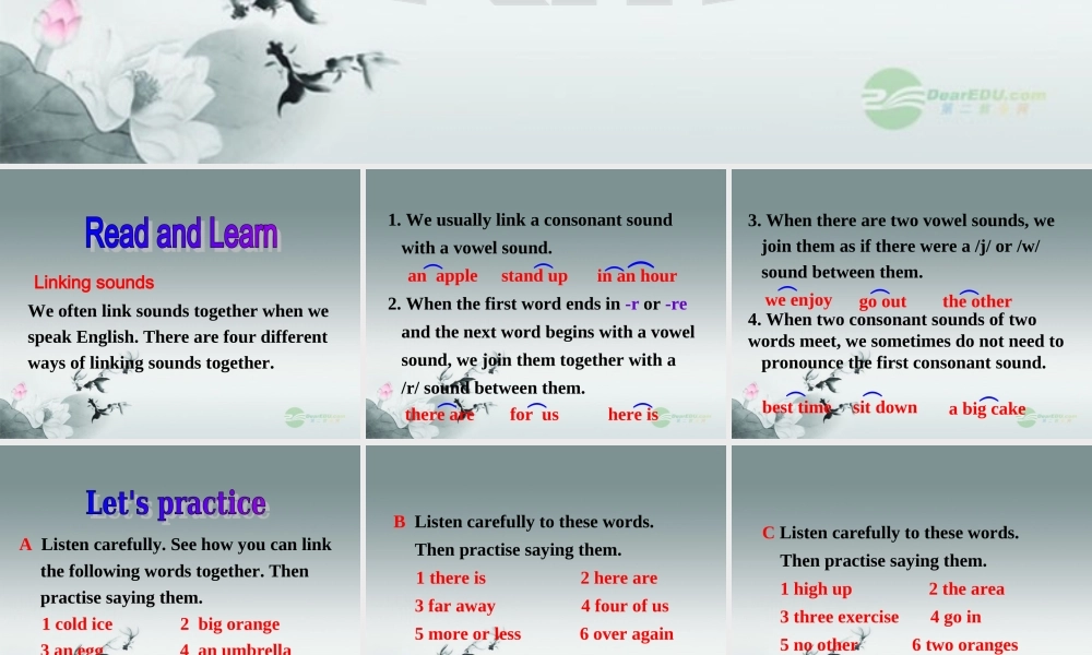 牛津译林初中英语七下Unit 2 Neighbours》Study skills课件 .ppt