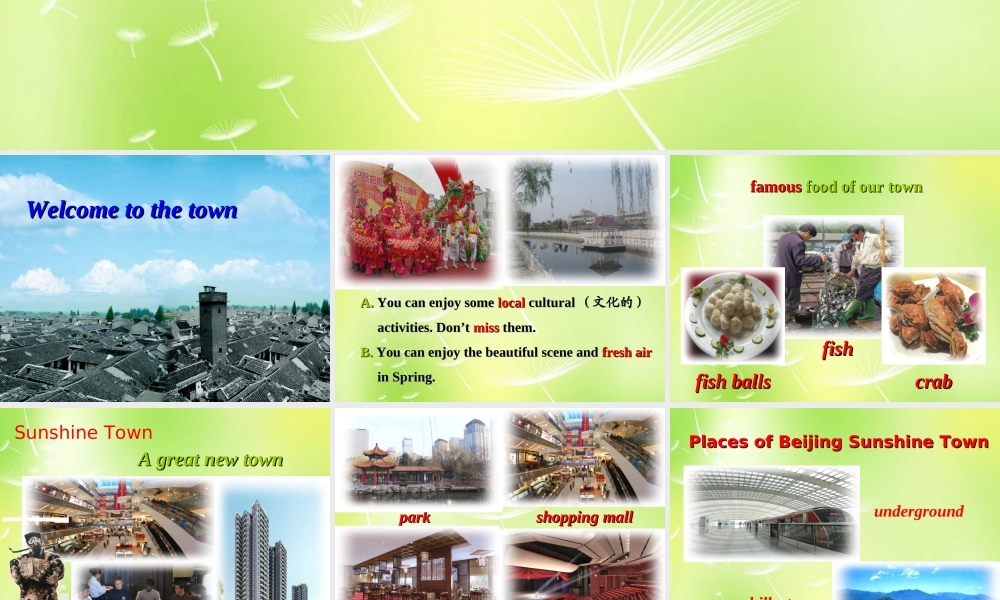 牛津译林初中英语七下Unit 3 Welcome to Sunshine Town Reading 1》课件 .ppt