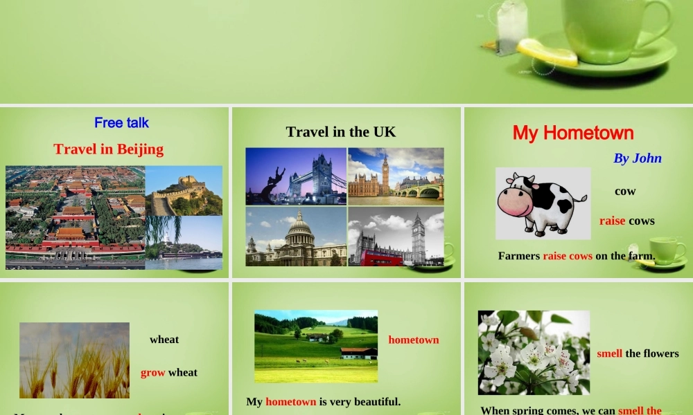 牛津译林初中英语七下Unit 3 Welcome to Sunshine Town task课件 .ppt