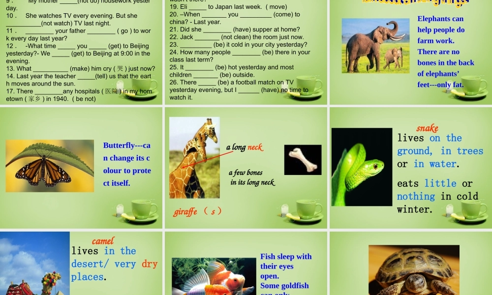 牛津译林初中英语七下Unit 4 Finding your way Intergrated spesk课件 .ppt