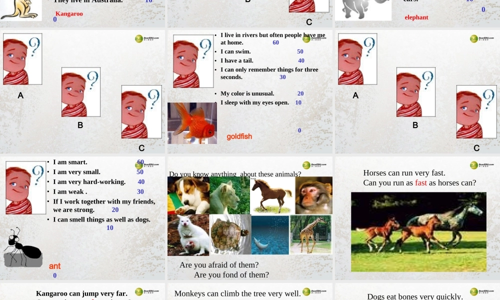 牛津译林初中英语七下Unit 5 Amazing things Integrated skills课件 .ppt