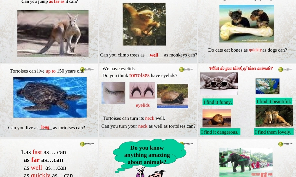 牛津译林初中英语七下Unit 5 Amazing things Integrated skills课件 .ppt