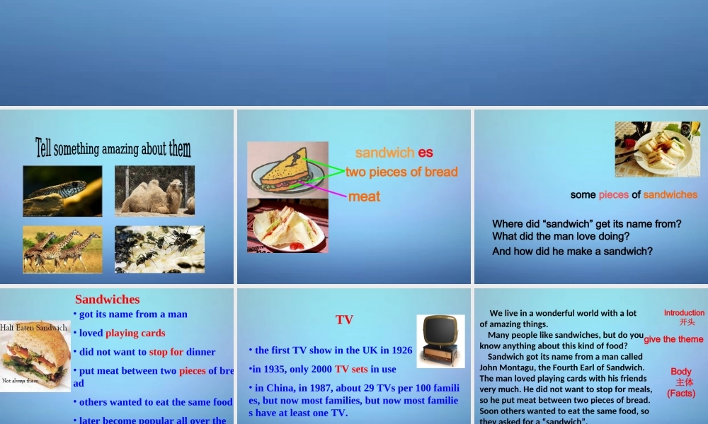 牛津译林初中英语七下Unit 5 Amazing things main task课件 .ppt