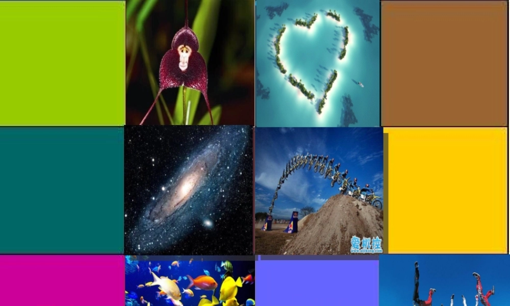 牛津译林初中英语七下Unit 5 Amazing things Integrated skills》课件 .ppt