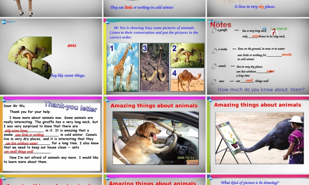 牛津译林初中英语七下Unit 5 Amazing things Integrated skills》课件 .ppt