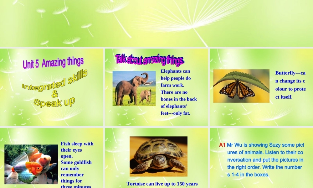 牛津译林初中英语七下Unit 5 Amazing things Integrated skills & Speak up课件 .ppt