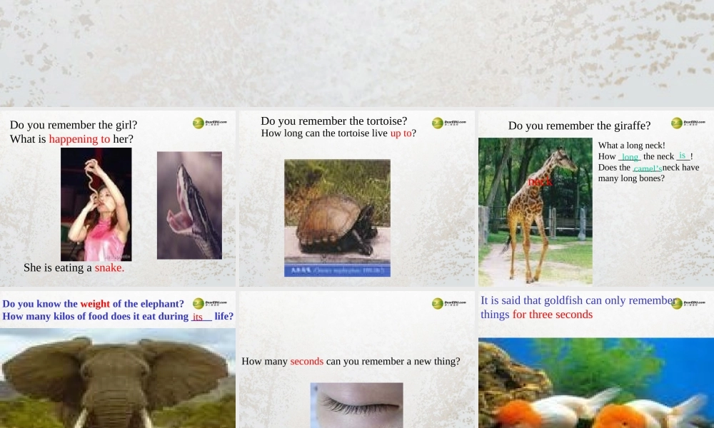 牛津译林初中英语七下Unit 5 Amazing things Speak up and pronunciation课件 .ppt