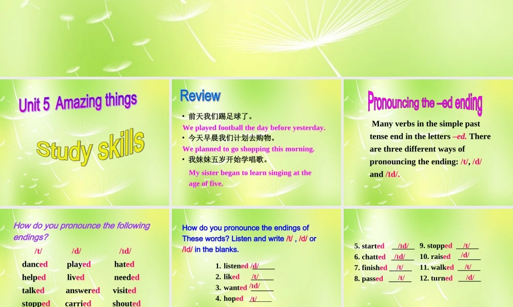 牛津译林初中英语七下Unit 5 Amazing things Study skills课件 .ppt