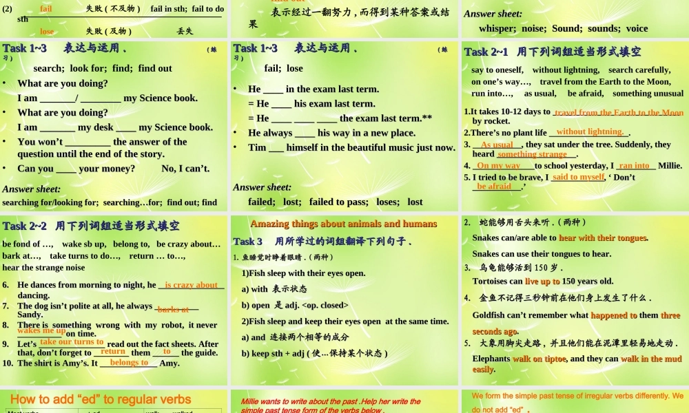 牛津译林初中英语七下Unit 5 Amazing things Revision》课件 .ppt