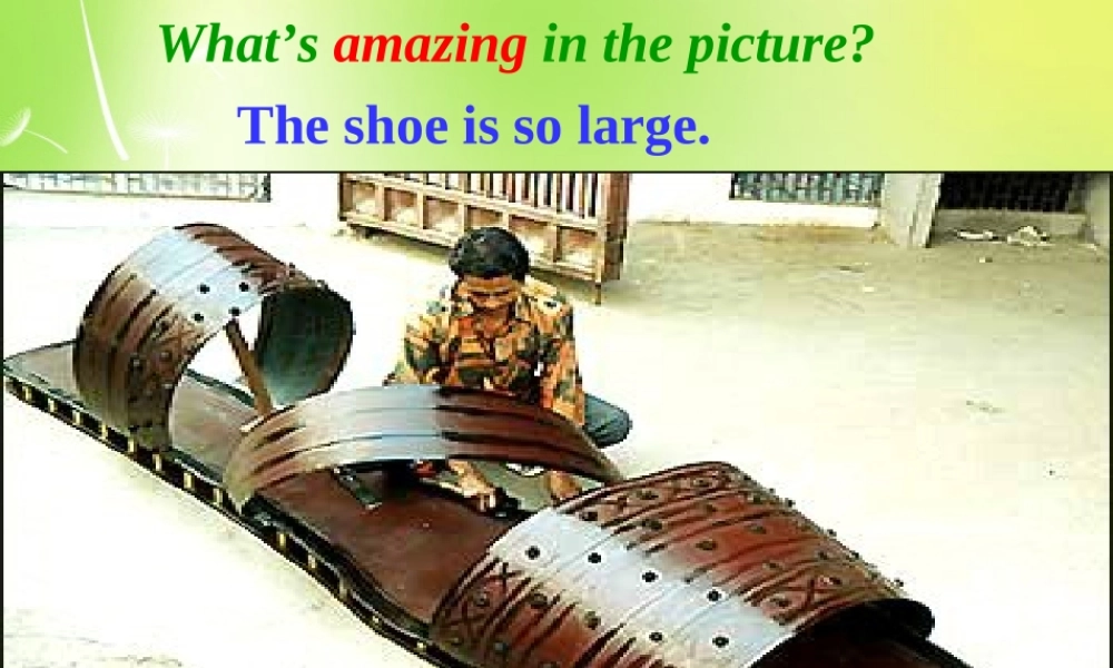 牛津译林初中英语七下Unit 5 Amazing things Welcome to the unit》课件 .ppt