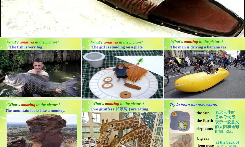 牛津译林初中英语七下Unit 5 Amazing things Welcome to the unit》课件 .ppt