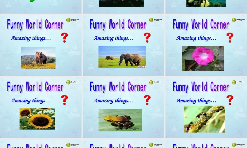 牛津译林初中英语七下Unit 5 Amazing things Welcome课件 .ppt