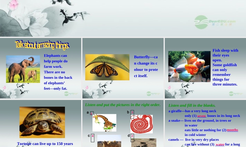 牛津译林初中英语七下Unit 5 Amazing things》Integrated skills & Speak up课件 .ppt