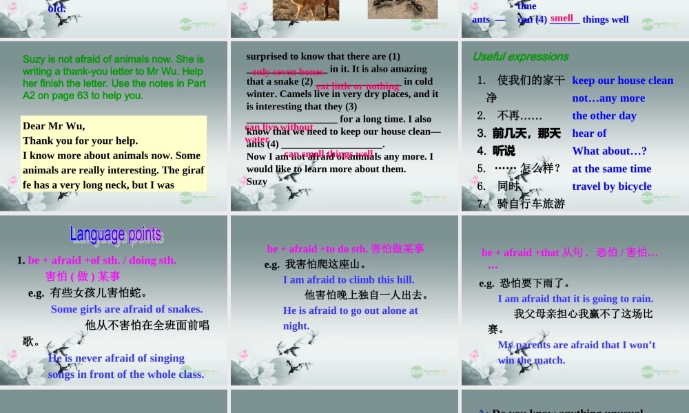 牛津译林初中英语七下Unit 5 Amazing things》Integrated skills & Speak up课件 .ppt