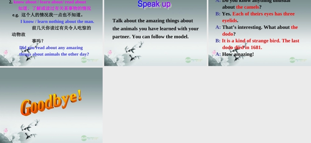 牛津译林初中英语七下Unit 5 Amazing things》Integrated skills & Speak up课件 .ppt