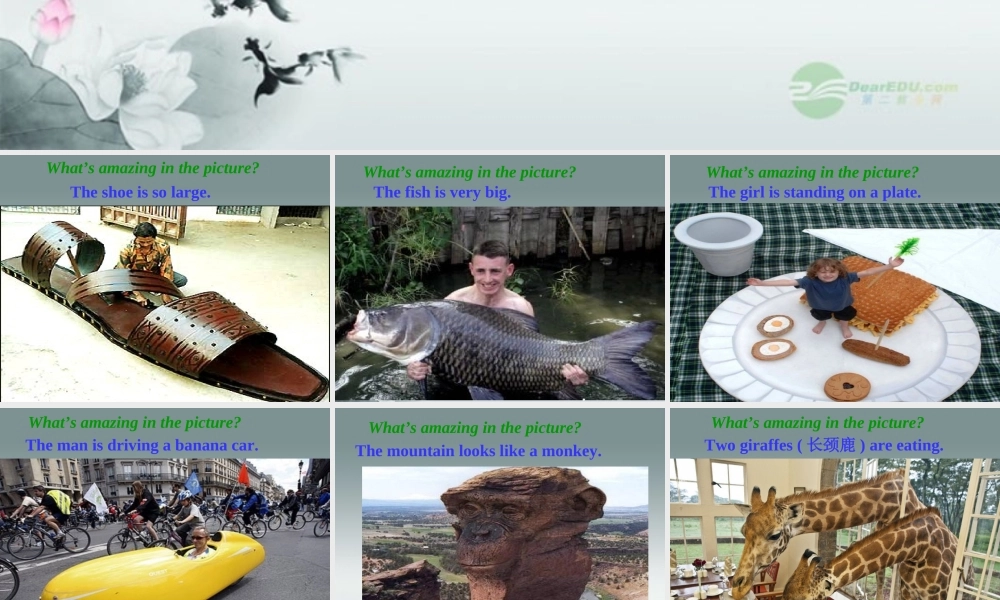 牛津译林初中英语七下Unit 5 Amazing things》Welcome to the unit课件 .ppt