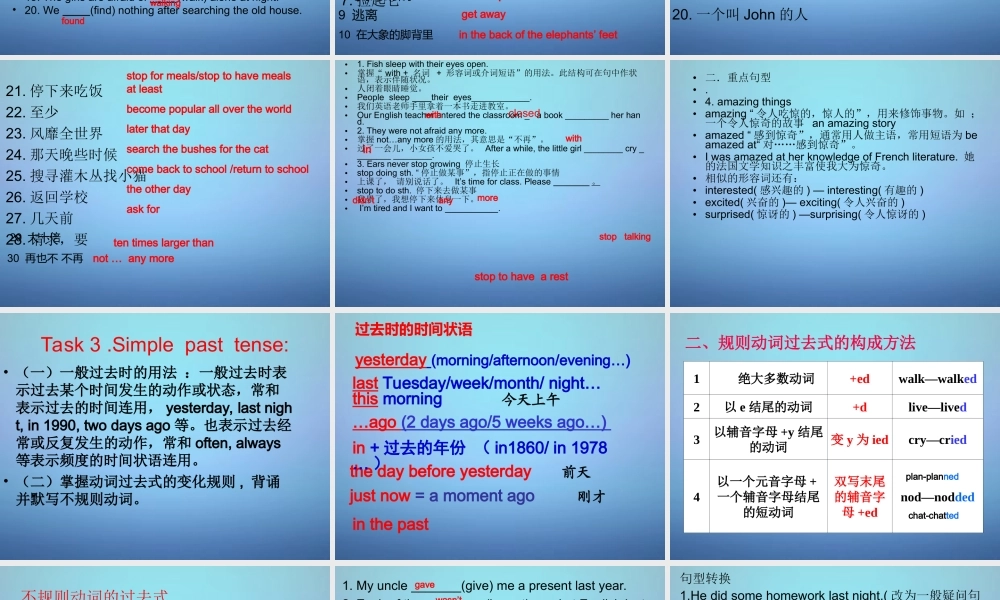 牛津译林初中英语七下Unit 5 Amazing things》复习课件 .ppt