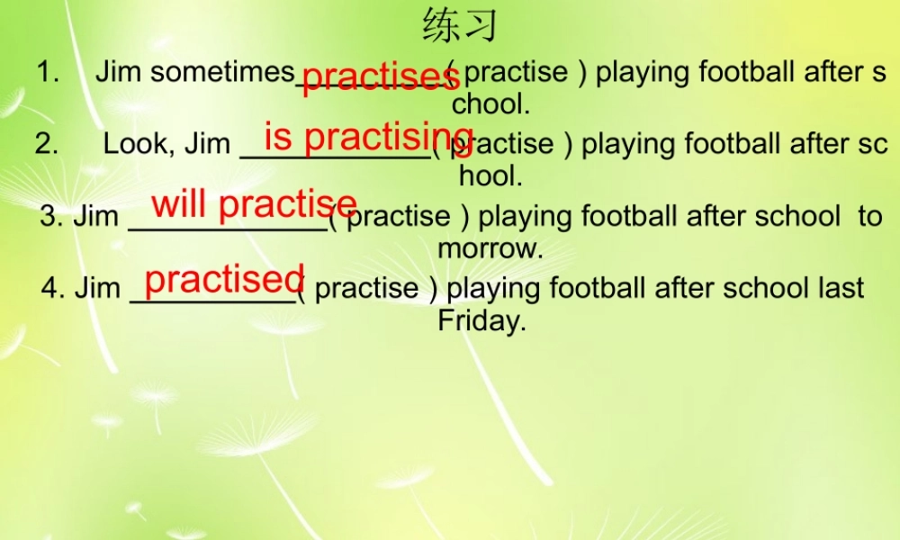 牛津译林初中英语七下Unit 5 Amazing things过去式练习课件 .ppt