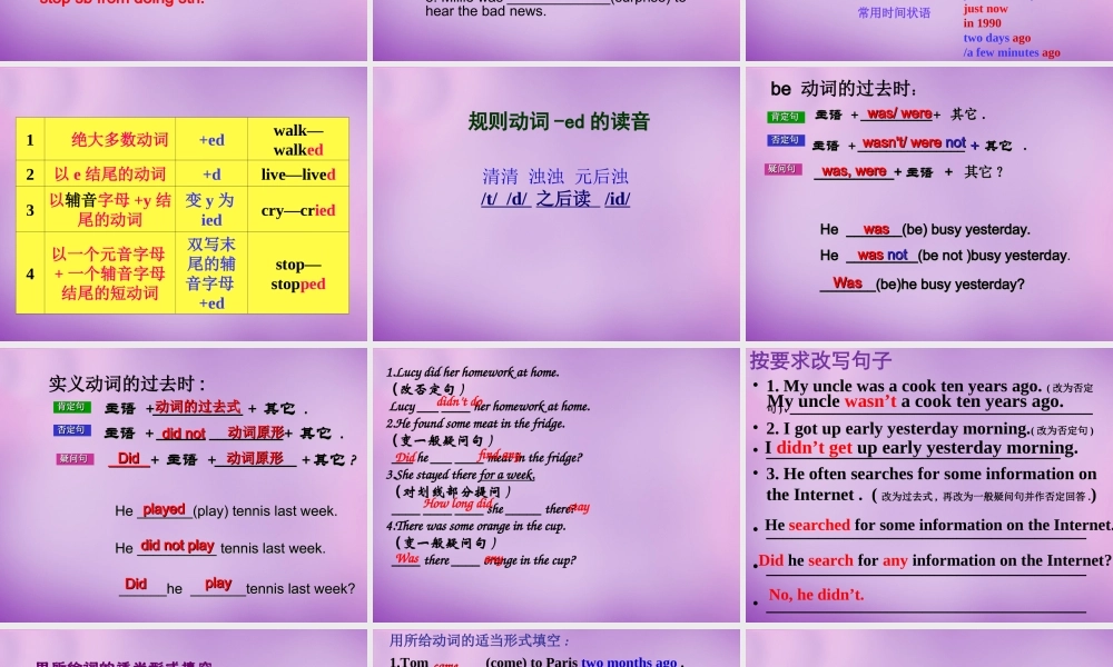 牛津译林初中英语七下Unit 5 Amazing things课件 .ppt