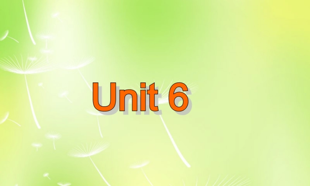 牛津译林初中英语七下Unit 6 Outdoor fun Reading I课件 .ppt