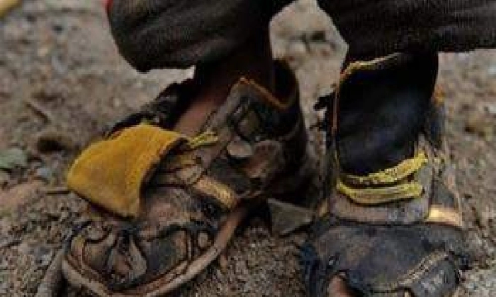 牛津译林初中英语七下Unit 6 Outdoor fun Task》课件 .ppt