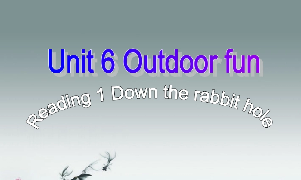 牛津译林初中英语七下Unit 6 Outdoor fun》Reading 1课件 .ppt