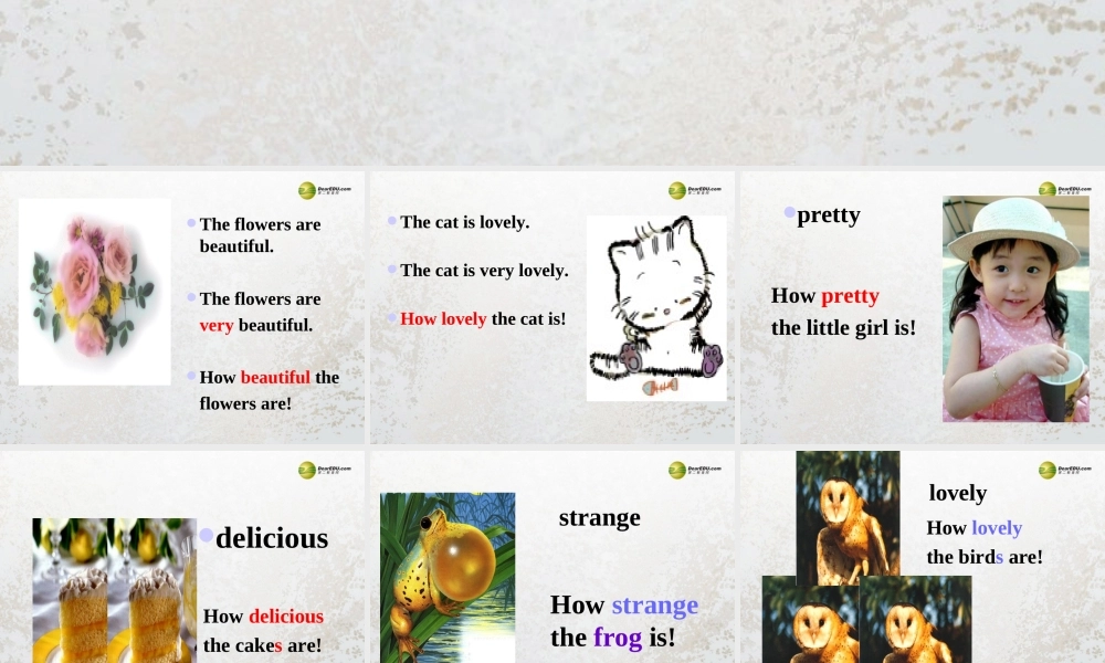 牛津译林初中英语七下Unit 7 Abilities GrammarⅡ课件 .ppt