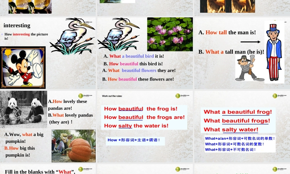 牛津译林初中英语七下Unit 7 Abilities GrammarⅡ课件 .ppt