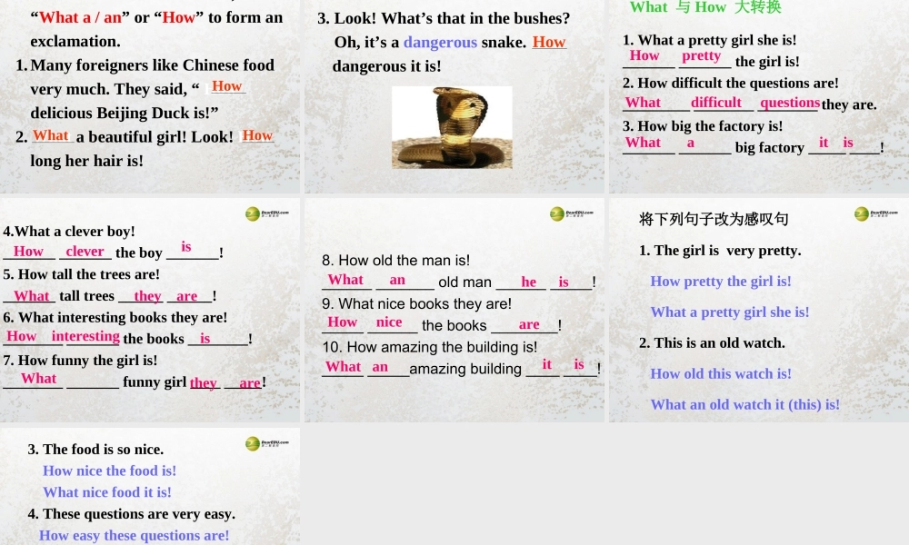 牛津译林初中英语七下Unit 7 Abilities GrammarⅡ课件 .ppt