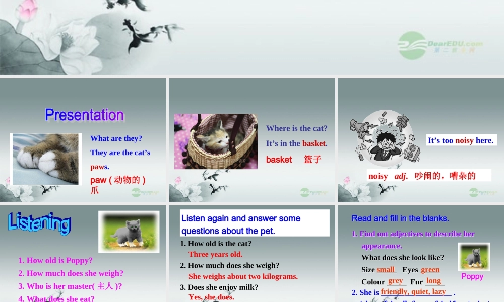 牛津译林初中英语七下Unit 8Pets》Task课件 .ppt