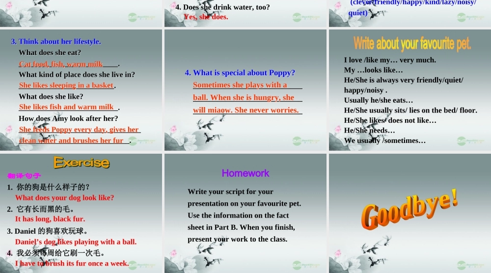 牛津译林初中英语七下Unit 8Pets》Task课件 .ppt