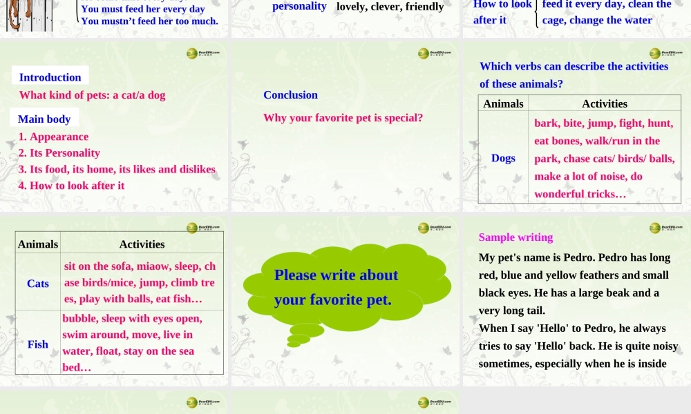 牛津译林初中英语七下Unit 8 Pets Main task课件 .ppt