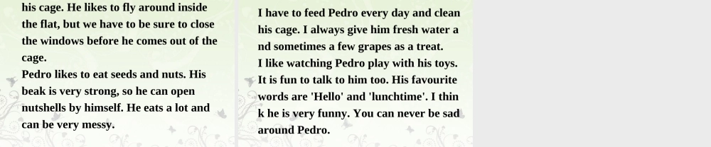 牛津译林初中英语七下Unit 8 Pets Main task课件 .ppt