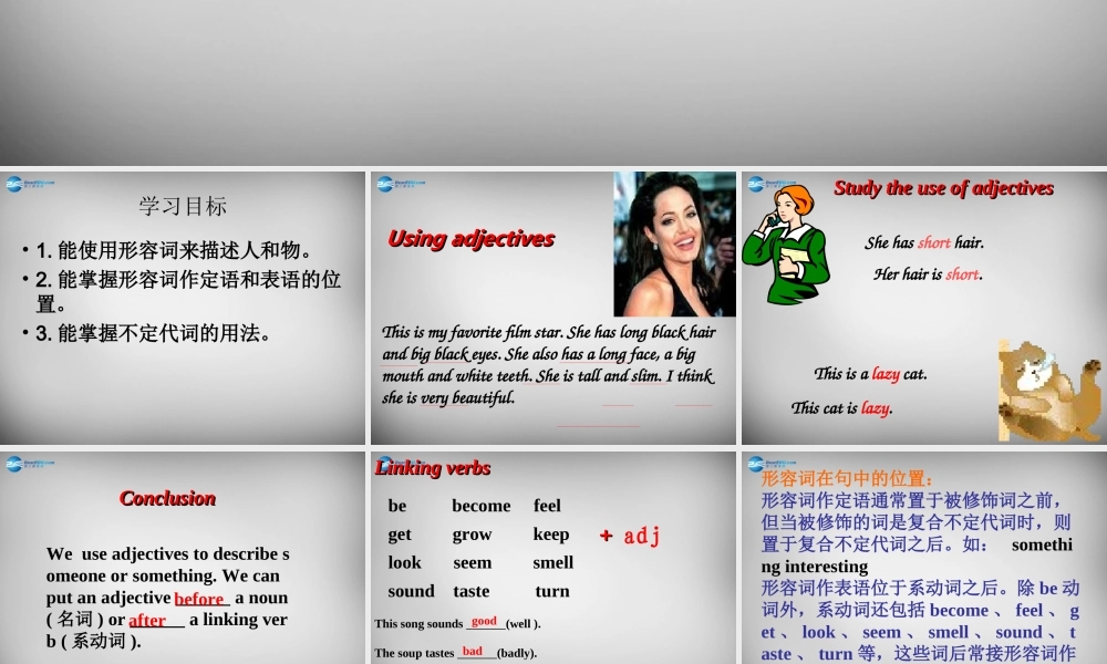 牛津译林初中英语七下Unit 8 Pets Grammar》课件 .ppt