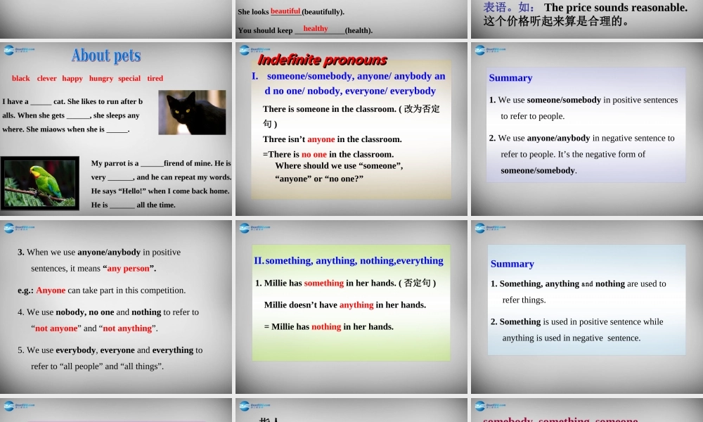 牛津译林初中英语七下Unit 8 Pets Grammar》课件 .ppt