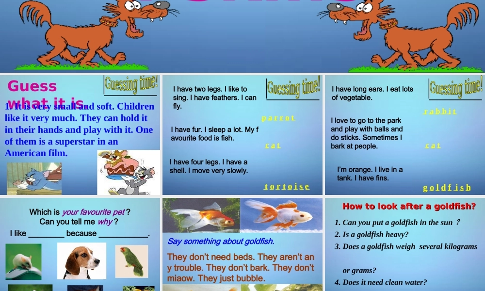 牛津译林初中英语七下Unit 8 Pets Integrated skills课件1 .ppt