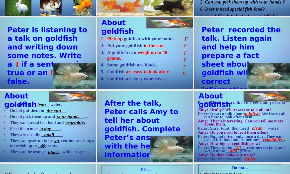 牛津译林初中英语七下Unit 8 Pets Integrated skills课件1 .ppt