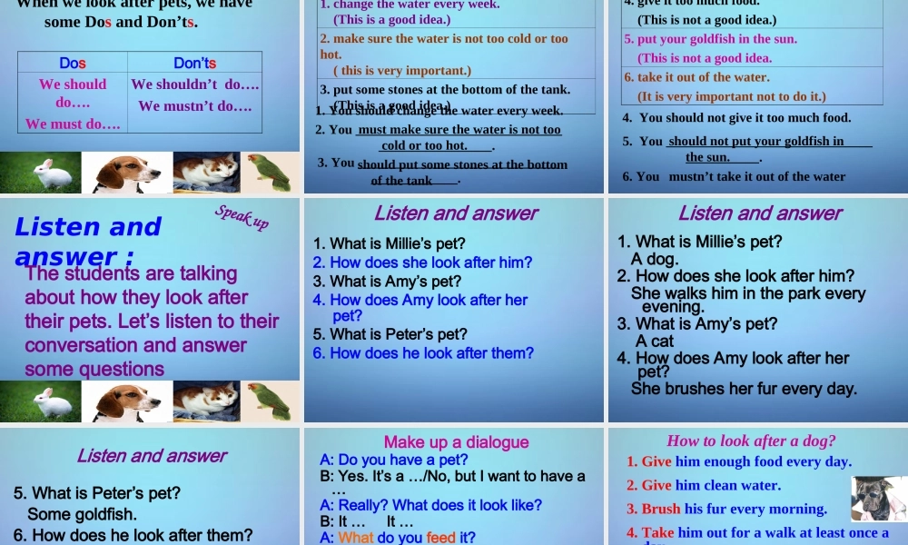 牛津译林初中英语七下Unit 8 Pets Integrated skills课件1 .ppt