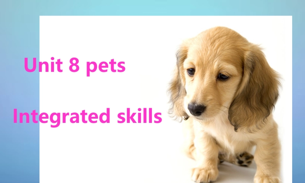 牛津译林初中英语七下Unit 8 Pets Integrated skills课件2 .ppt