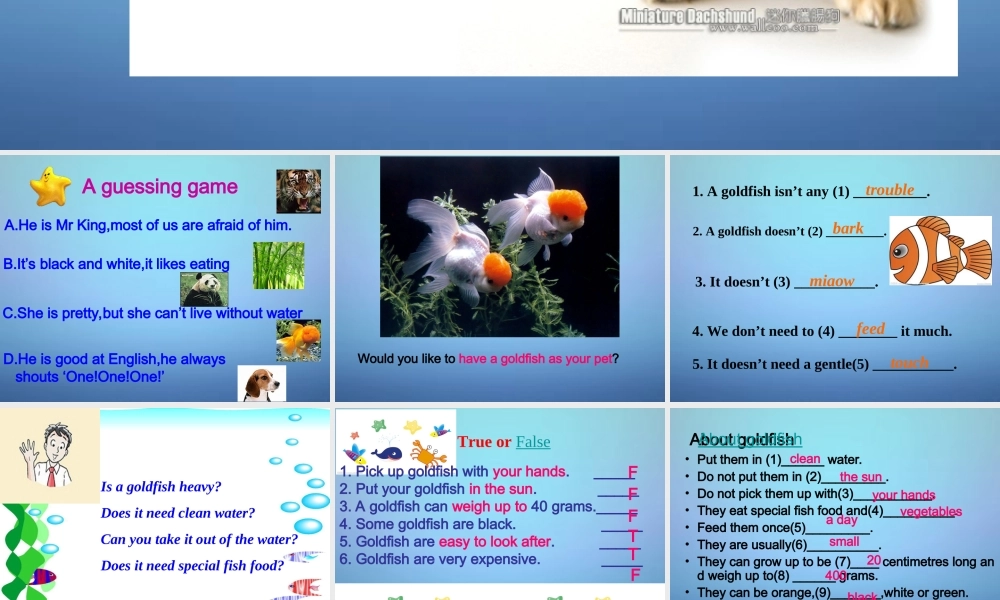 牛津译林初中英语七下Unit 8 Pets Integrated skills课件2 .ppt