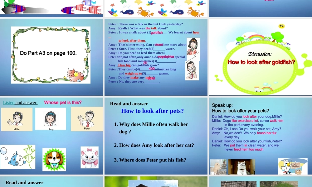 牛津译林初中英语七下Unit 8 Pets Integrated skills课件2 .ppt