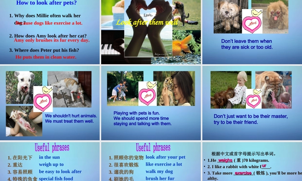 牛津译林初中英语七下Unit 8 Pets Integrated skills课件2 .ppt