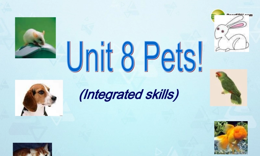 牛津译林初中英语七下Unit 8 Pets Intergrated skills课件 .ppt