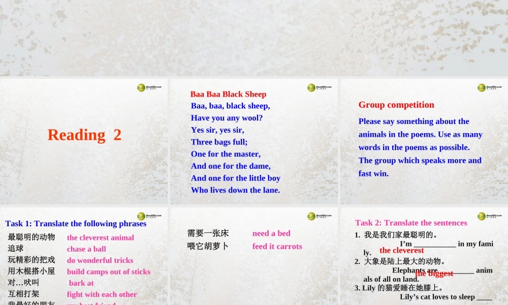 牛津译林初中英语七下Unit 8 Pets Reading 2课件 .ppt