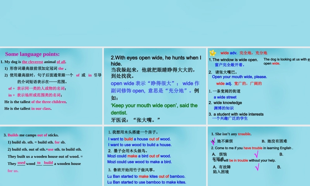 牛津译林初中英语七下Unit 8 Pets reading 2课件1 .ppt