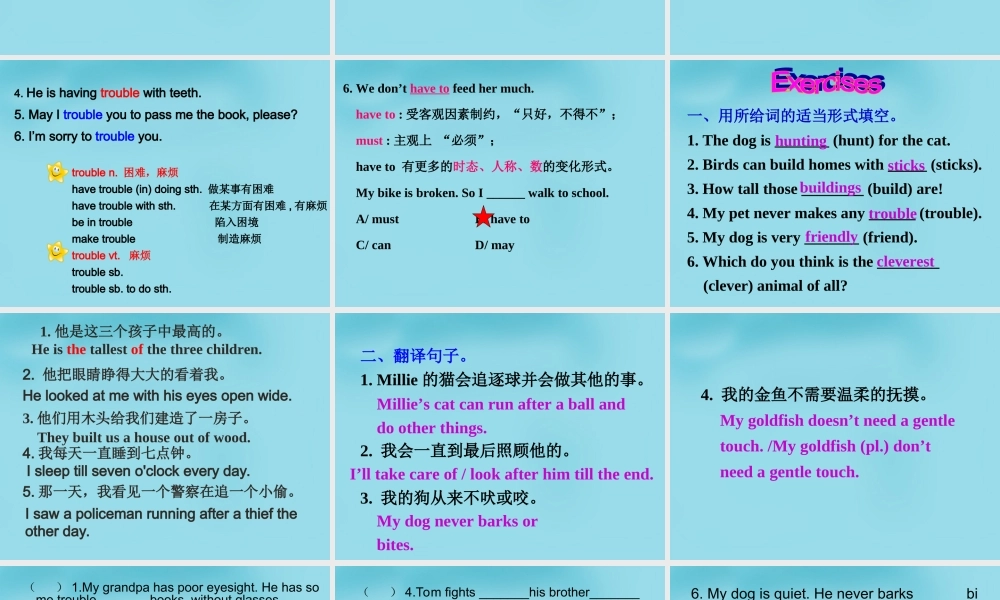 牛津译林初中英语七下Unit 8 Pets reading 2课件1 .ppt