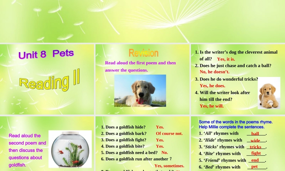 牛津译林初中英语七下Unit 8 Pets Reading II课件 .ppt
