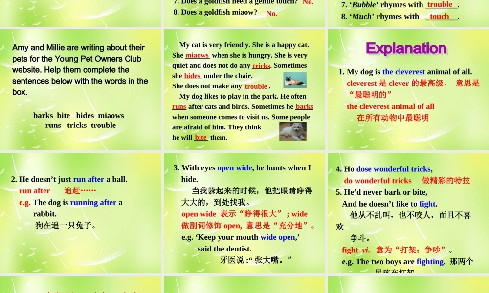 牛津译林初中英语七下Unit 8 Pets Reading II课件 .ppt