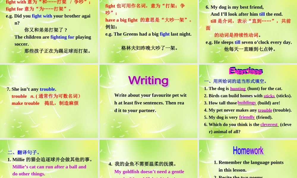 牛津译林初中英语七下Unit 8 Pets Reading II课件 .ppt