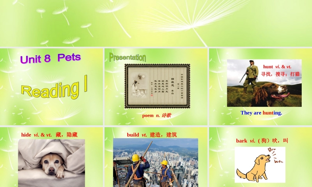 牛津译林初中英语七下Unit 8 Pets Reading I课件 .ppt